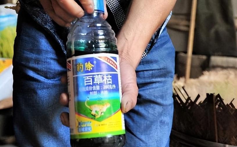 回顾百草枯之父李德军没想过有人会喝它卖了多久愧疚了多久