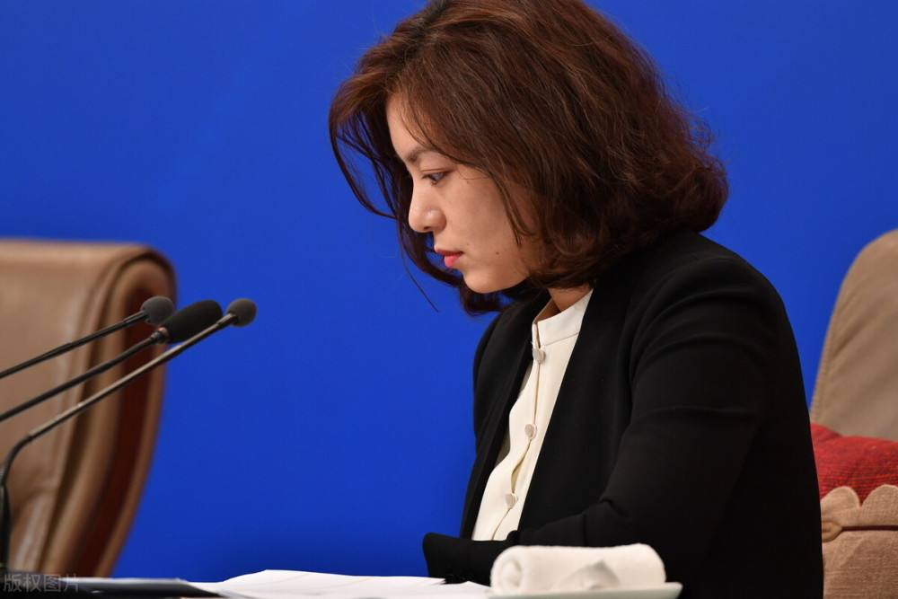 回顾美女翻译从小喜欢英语拒绝保送清北被称为最美翻译官