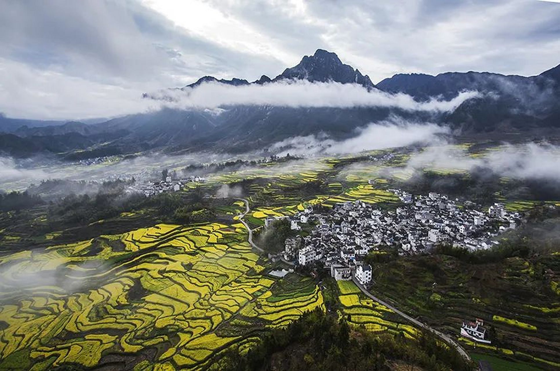 绩溪家朋梅干岭梯田油菜花进入最佳观赏期,举办油菜花文化旅游节,活动