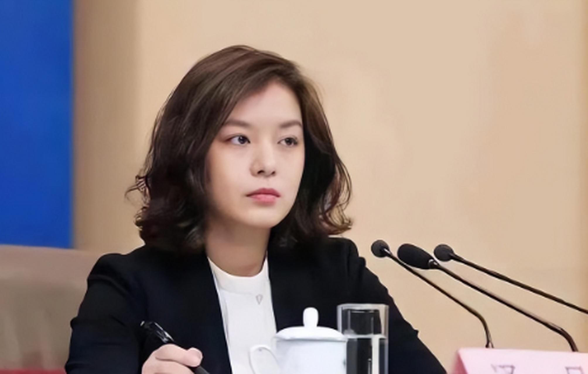 回顾美女翻译从小喜欢英语拒绝保送清北被称为最美翻译官