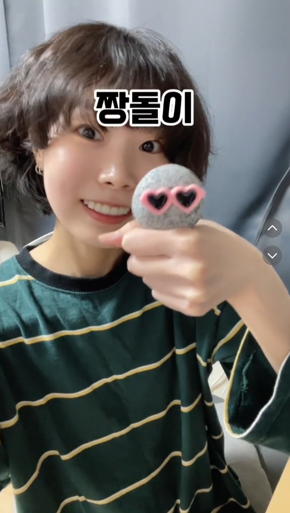 韩国迷上宠物石头爱豆人手一颗工作太烦猫狗太累养块石头正好