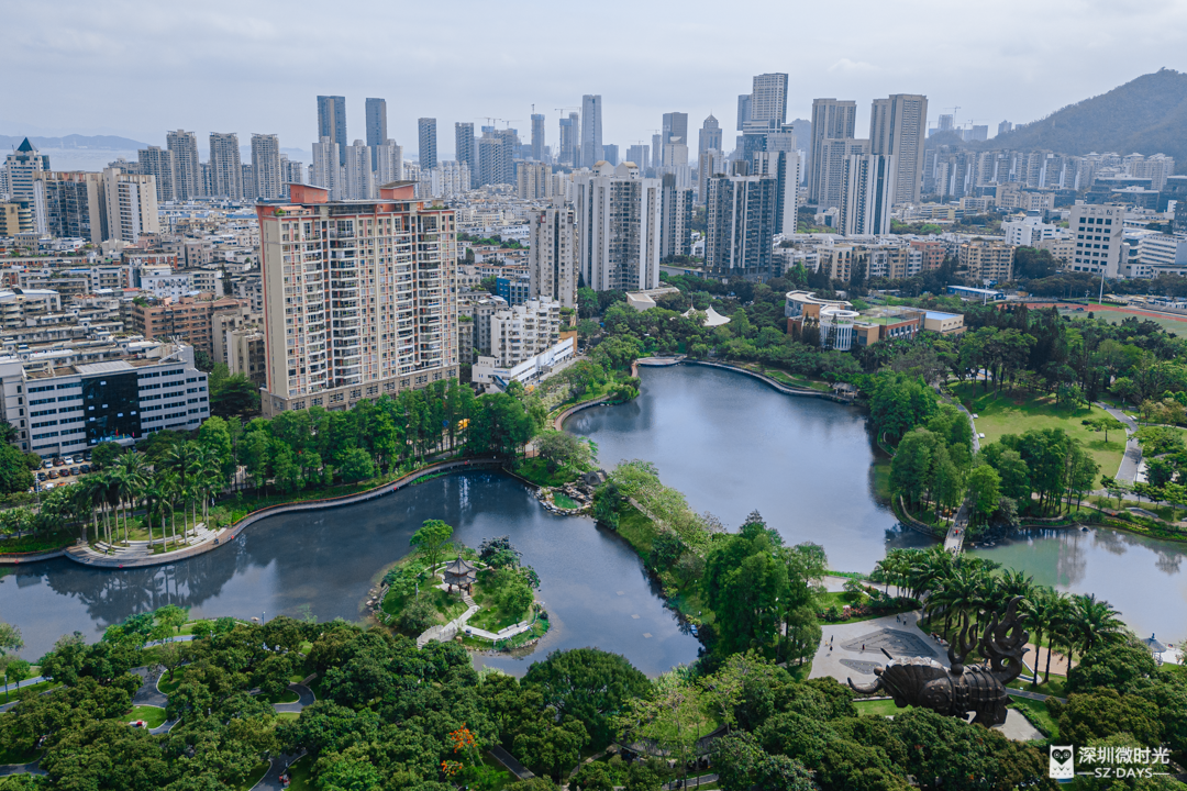 南山深圳湾蛇口,为什么是叫最恋家的人