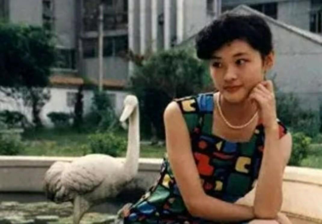 回顾主持人周涛我这辈子正确的决定就是和路云生下一儿一女