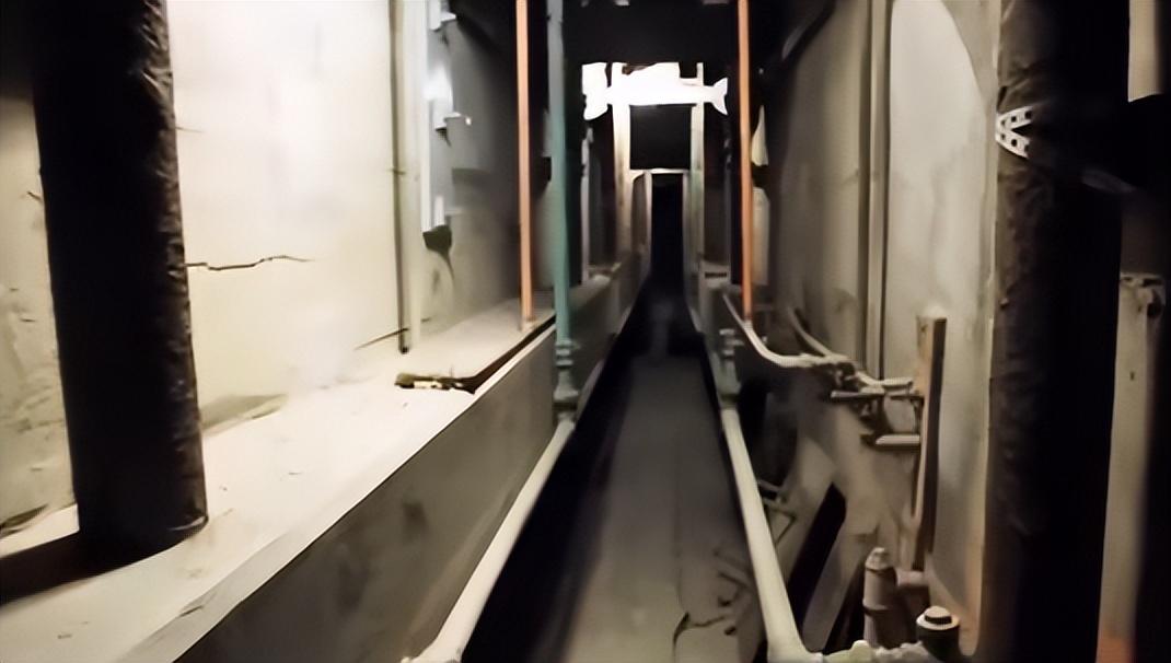 回顾高智商越狱挖洞一年肥皂做假人头逃亡61年仍下落不明