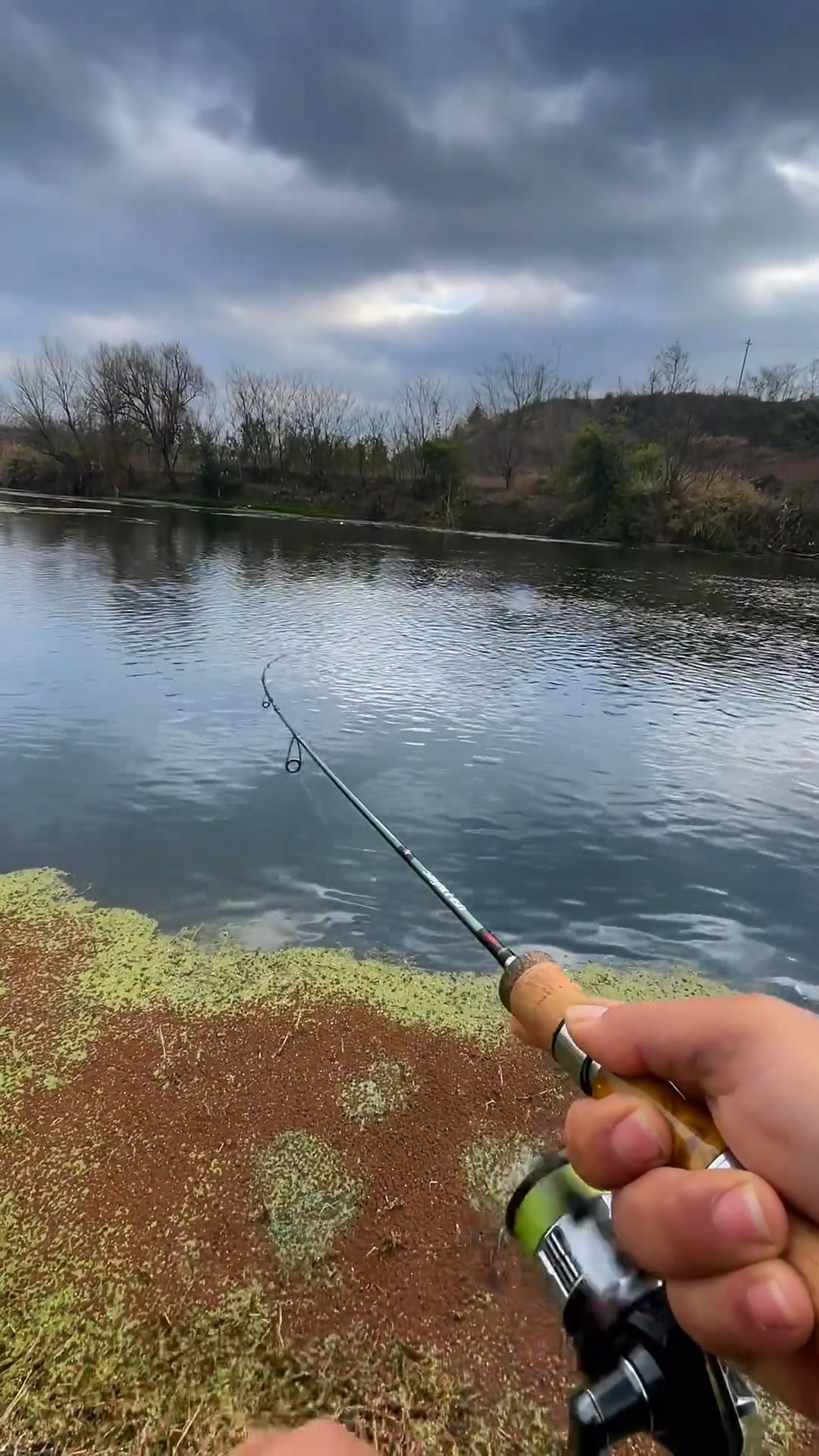 户外飞蝇勾钓鱼