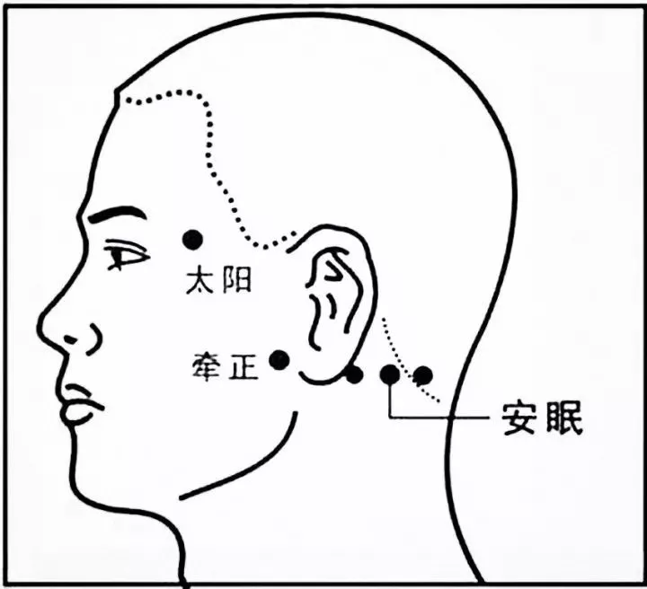 安眠的准确位置图作用图片