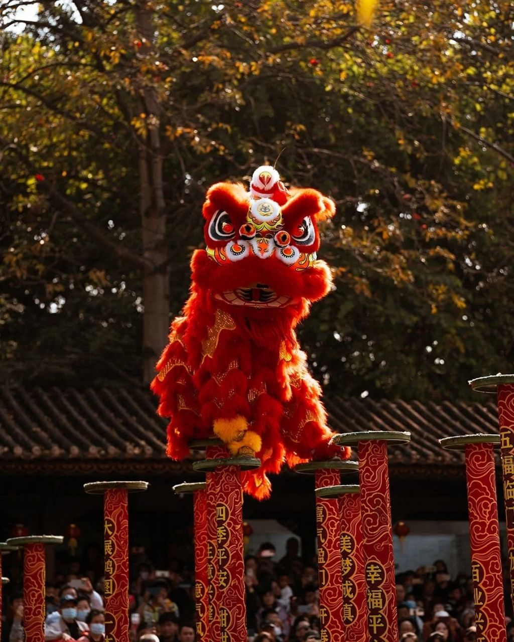 让我们共同欣赏这充满力量和韵律的舞狮表演,感受那