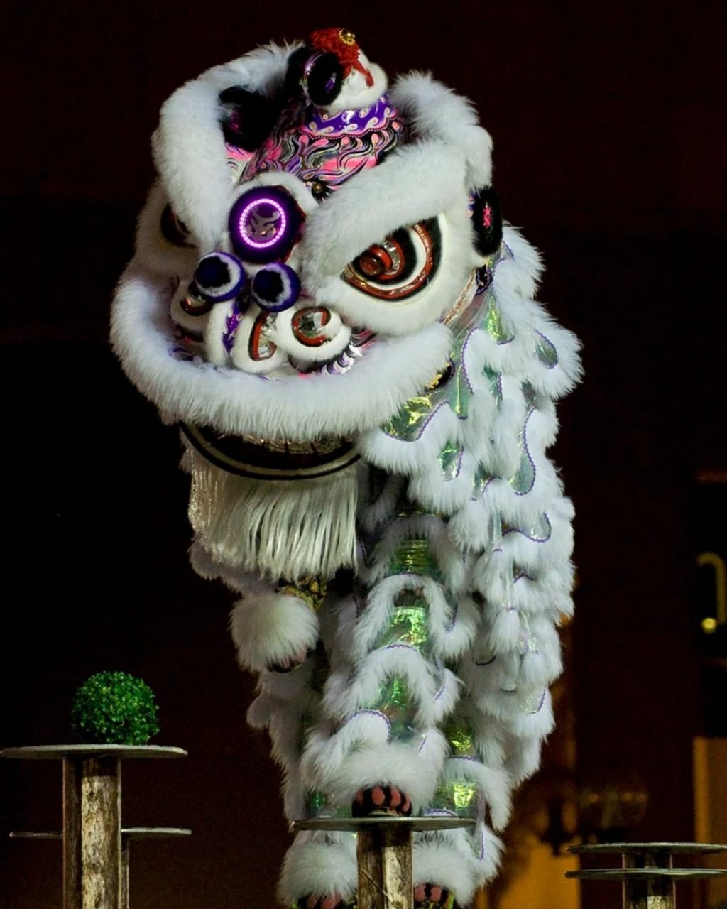 舞狮图片  95 舞狮,这一传统艺术,以其独特的魅力和深厚的文化底蕴