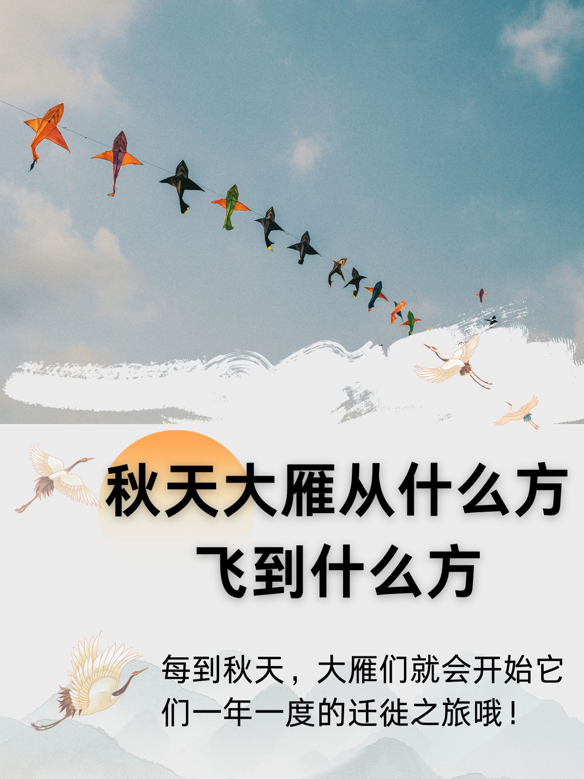 秋天大雁从什么方飞到什么方 秋天大雁的迁徙之旅 每到秋天