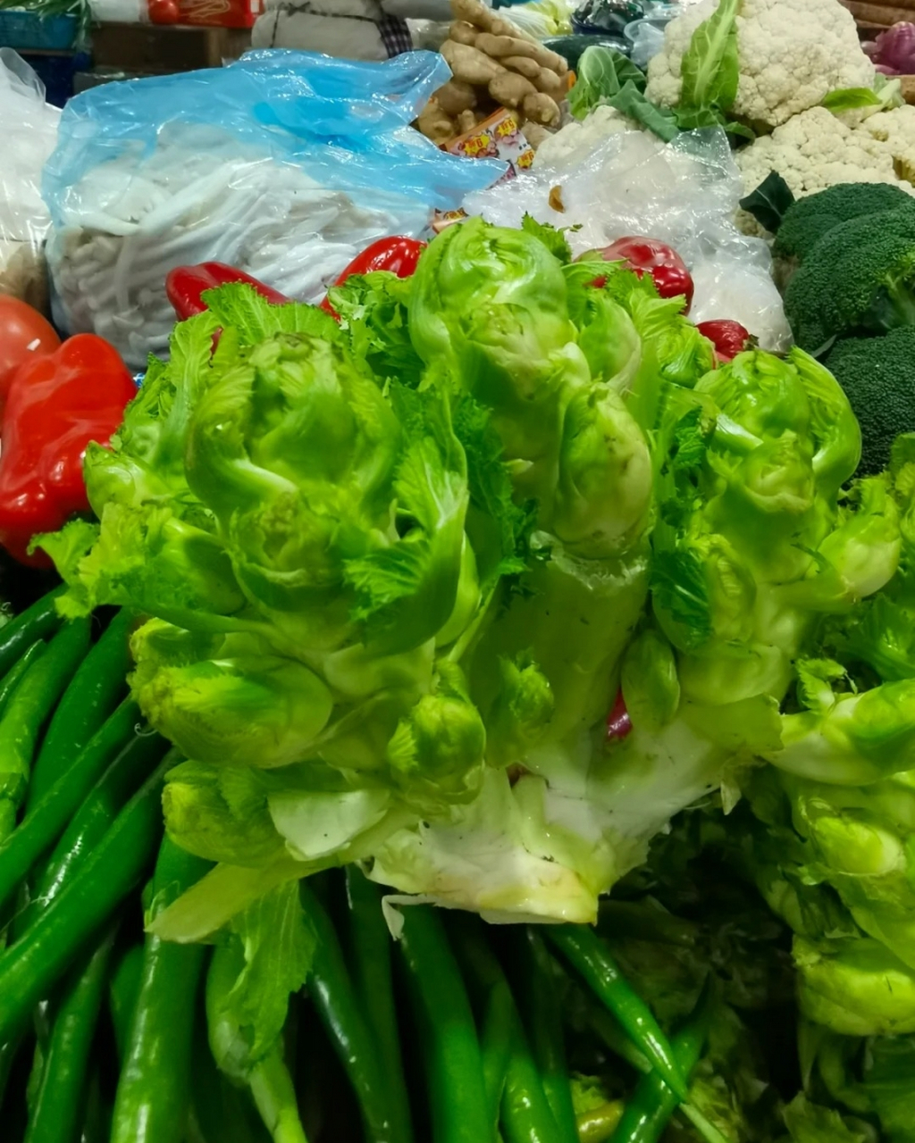 儿菜图片  儿菜,学名"抱子芥",又名娃娃菜,超生菜等,是芥菜的一种.