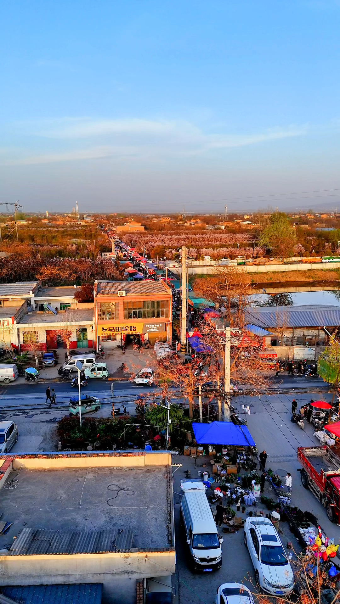 桃花盛开,西安港务区新合街道,马寨庙会