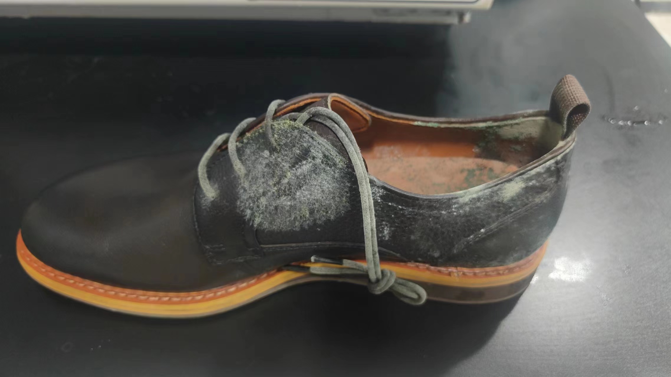 鞋子发霉怎么处理 及防霉方法