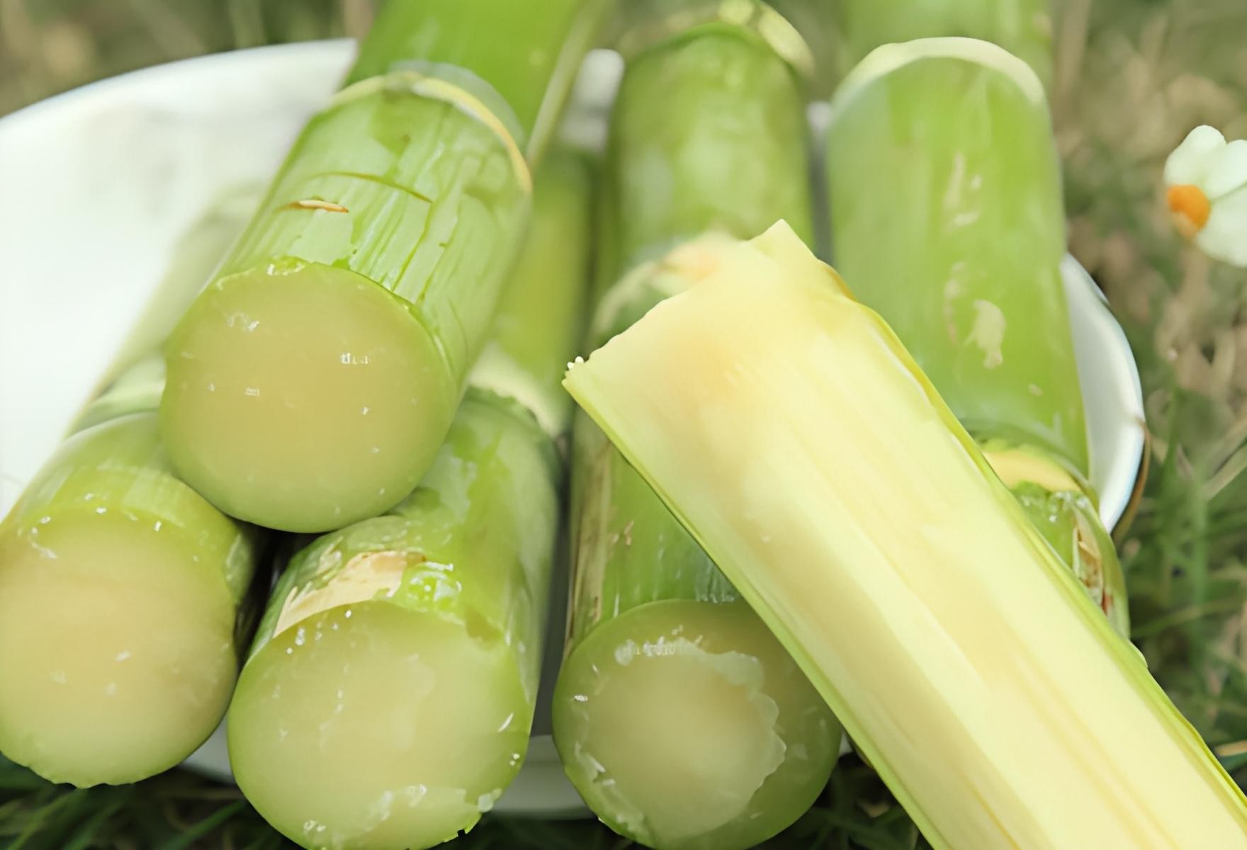 紫皮甘蔗和青皮甘蔗的区别