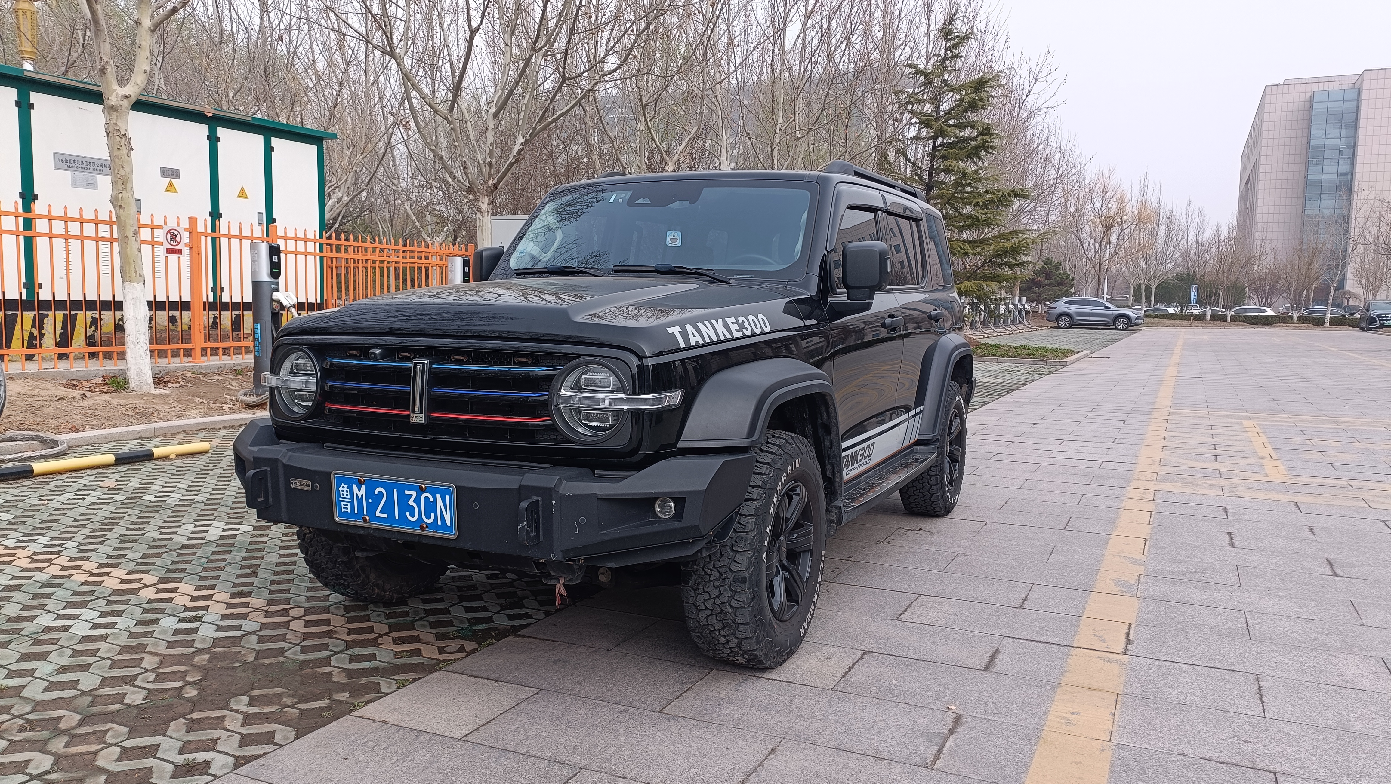坦克300是长城汽车旗下的一款硬派越野车型,自发布以来,凭借其独特的