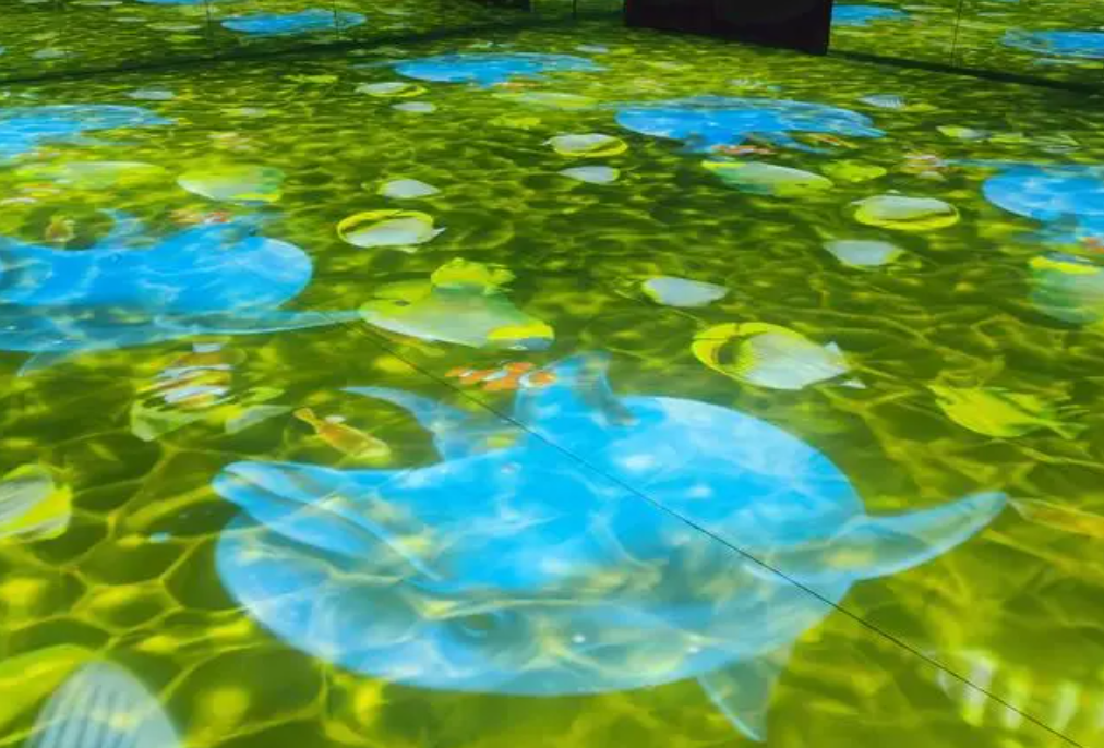 led嵌入式水纹投影灯:点亮水族馆新篇章