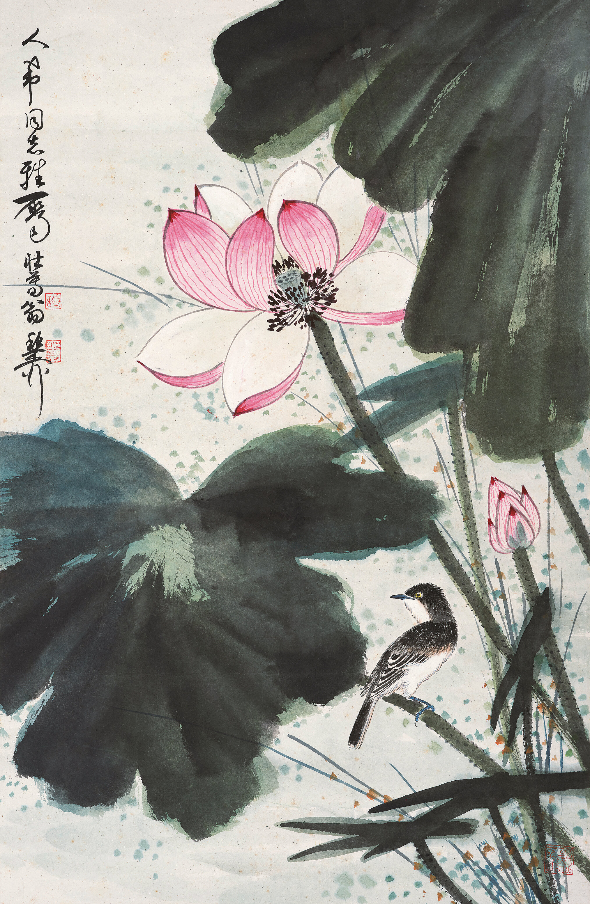 国画荷花作品介绍图片