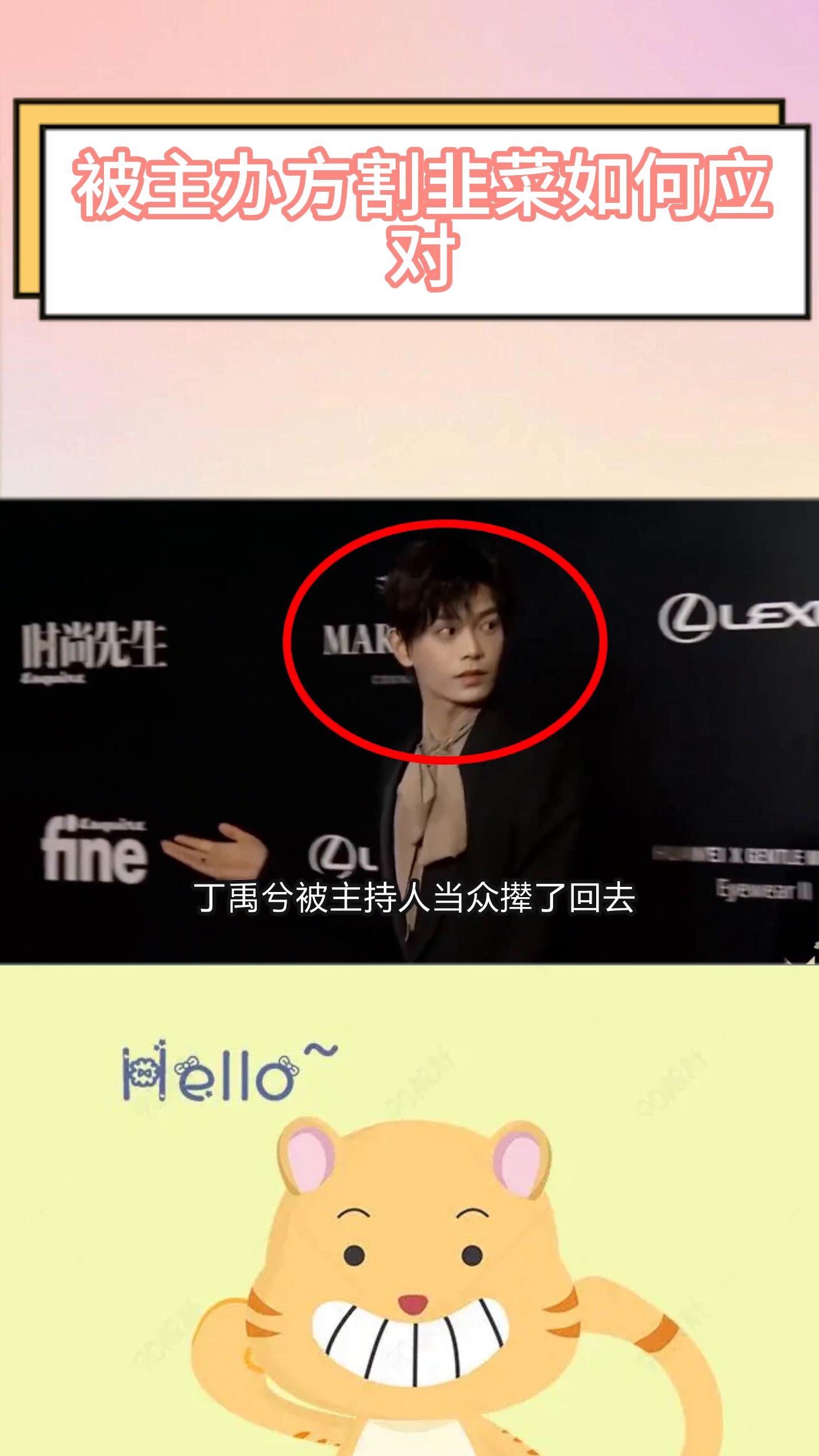 杨紫杨颖陷入两难,肖战不按套路出牌,揭秘主办方割韭菜的幕后真