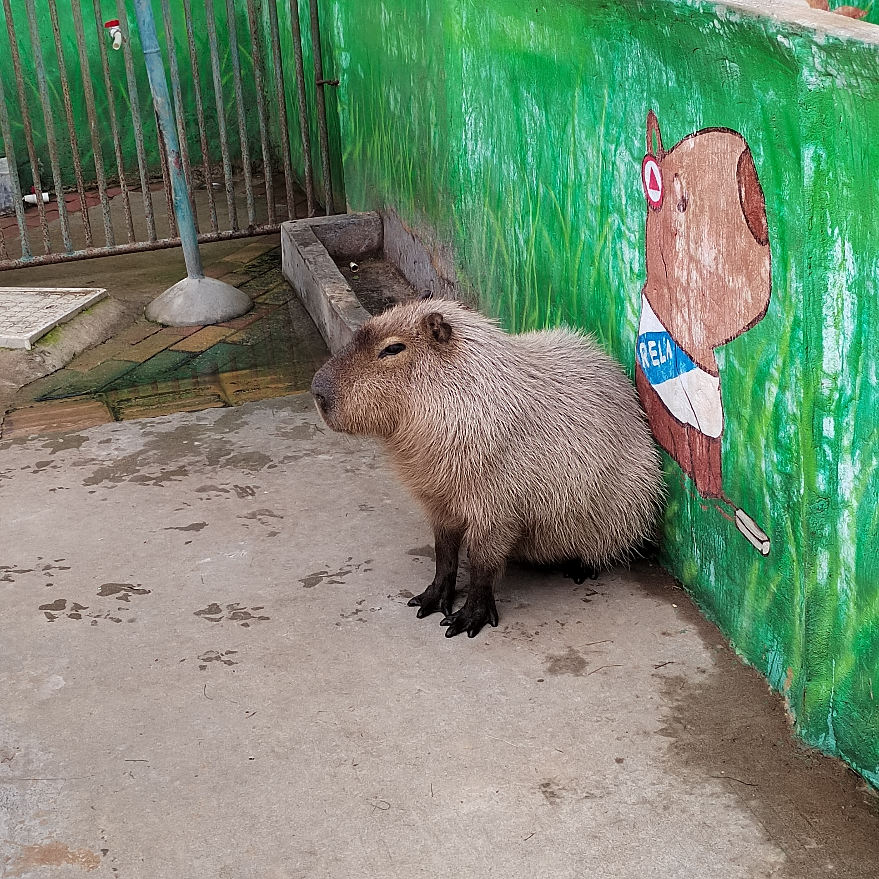 做着做着,发现会计人员的工资在公司包尾,别人有的