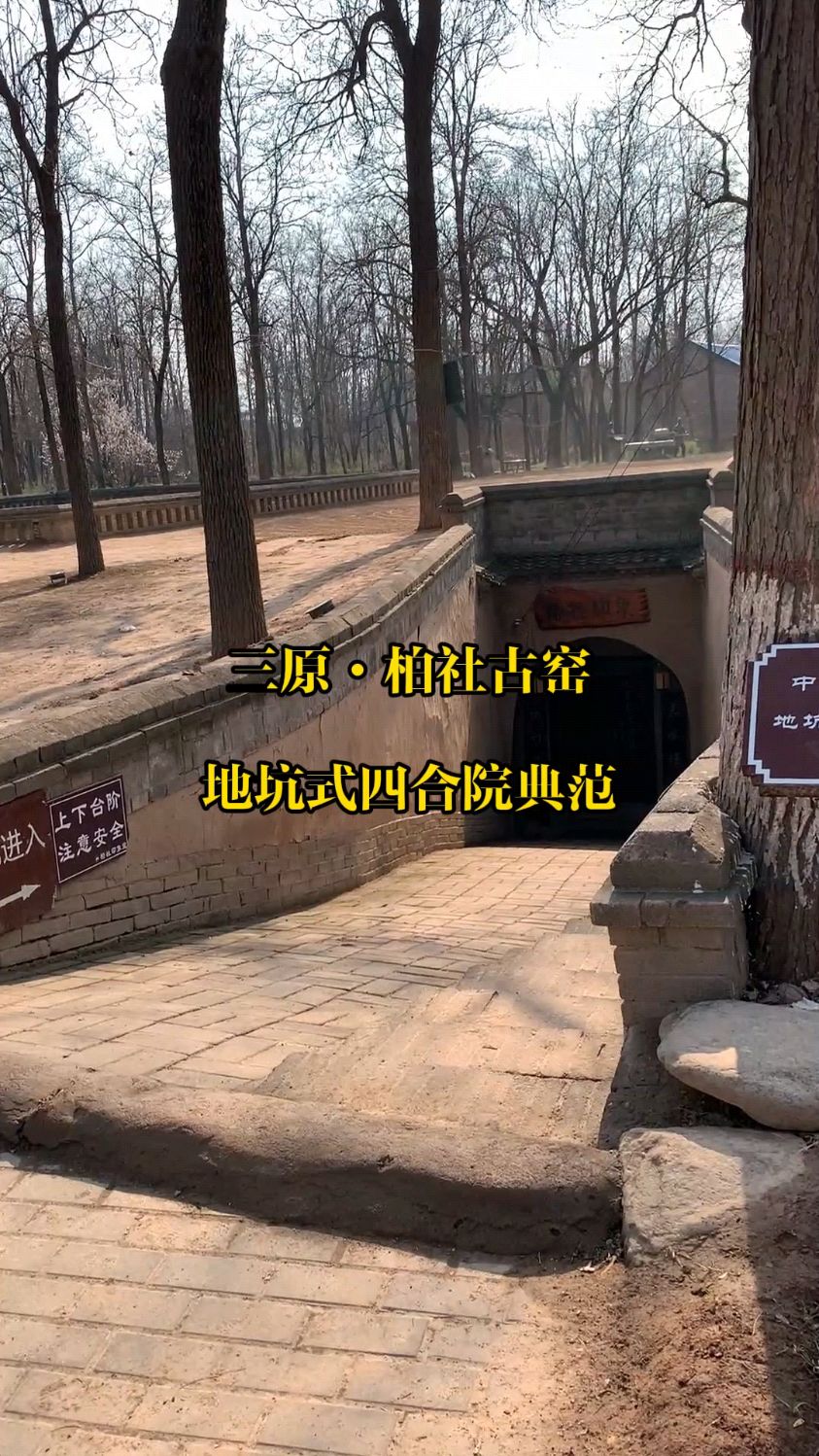 三原柏社村地坑院式窑洞,平地挖坑,坑里打窑洞-度小视