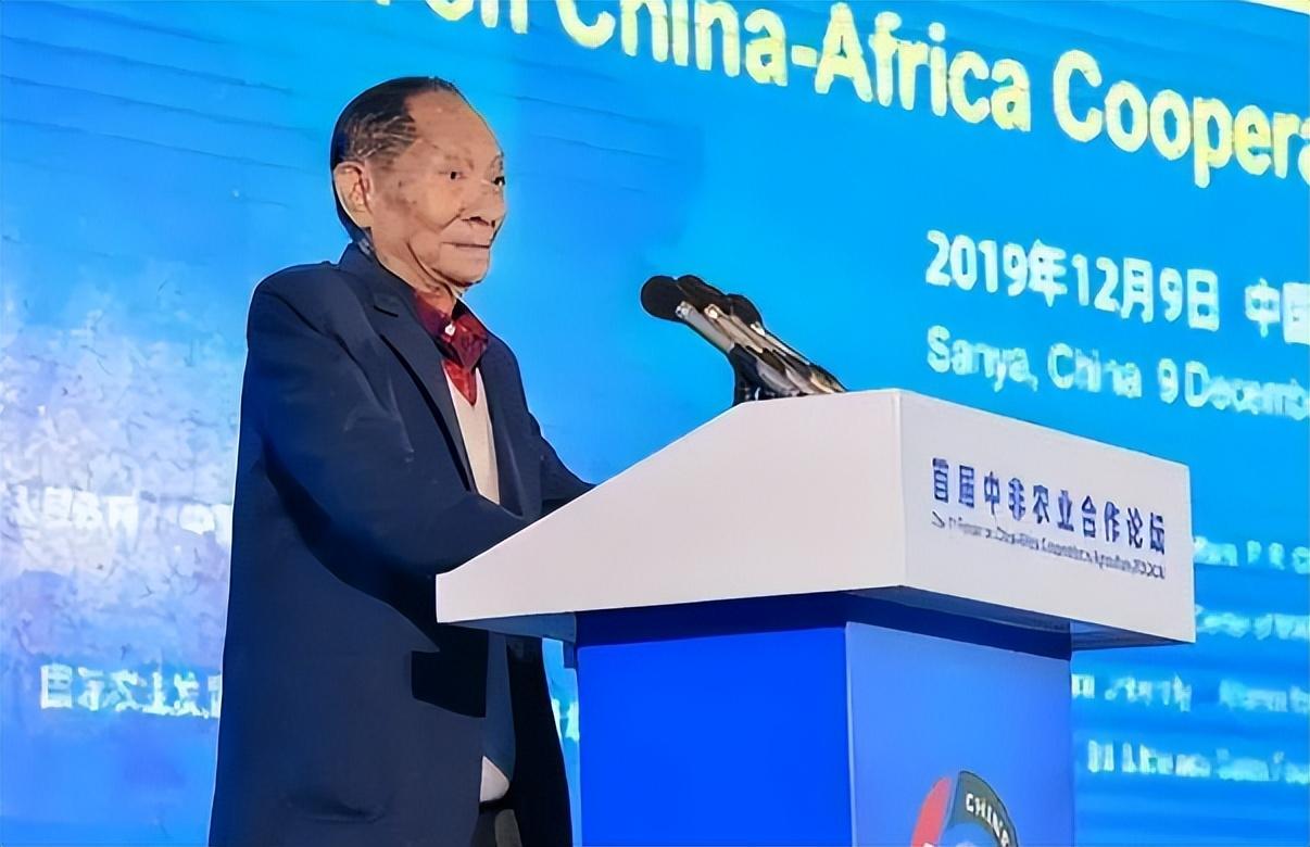 水稻之父袁隆平被丑化秃头加小辫子画家本人辩称这是艺术