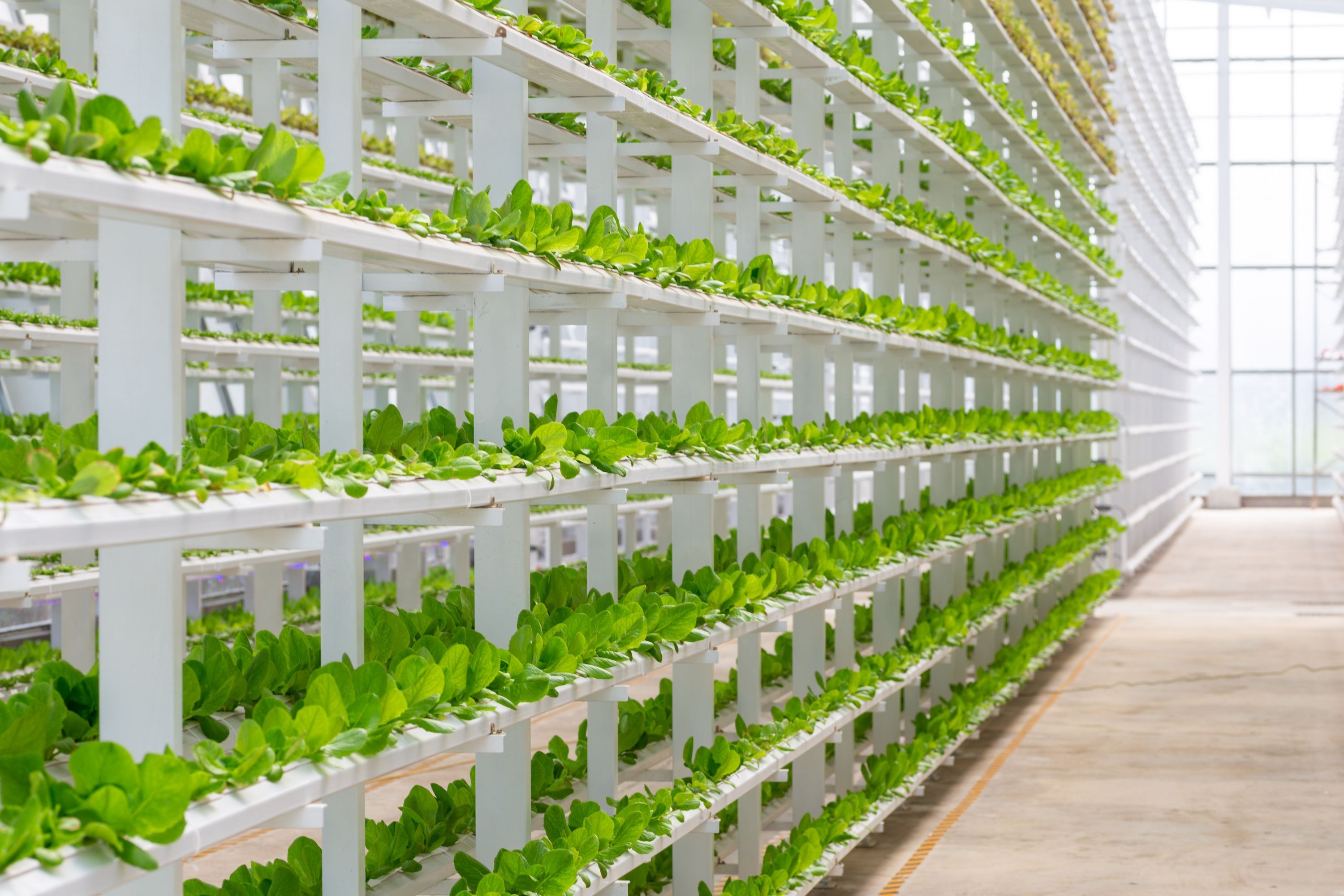 农文旅融合打造现代农业新体验 未来家园产业园更像一个景区