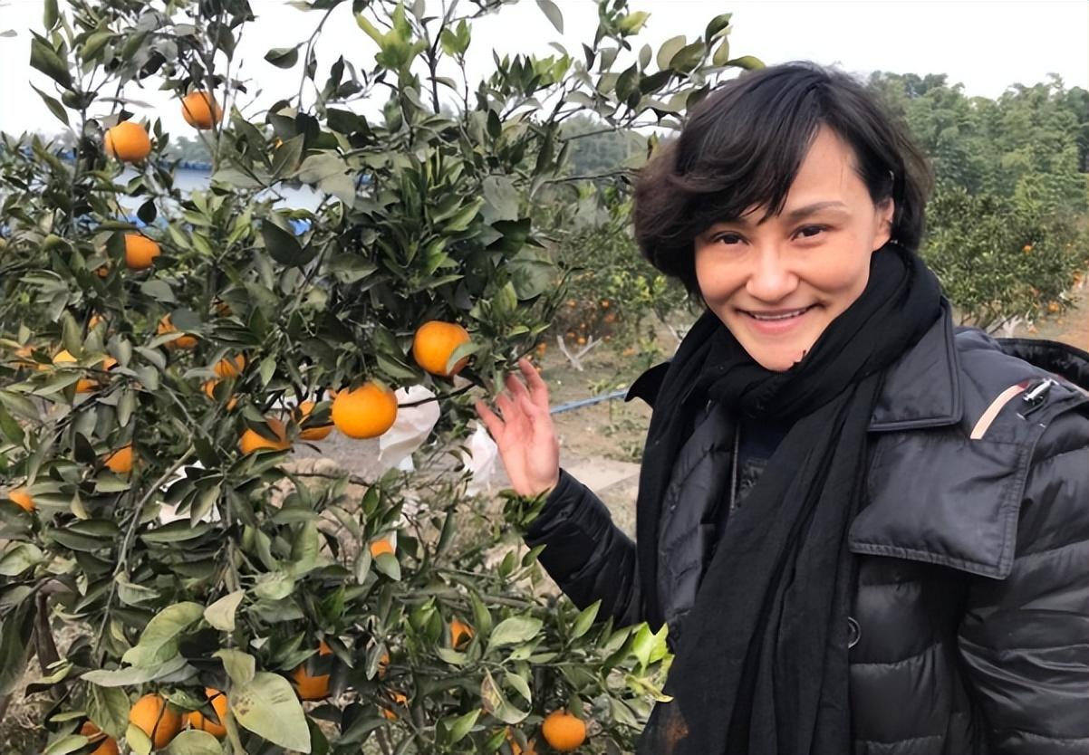 回顾跳水皇后高敏离婚又再婚如今52岁过得如何