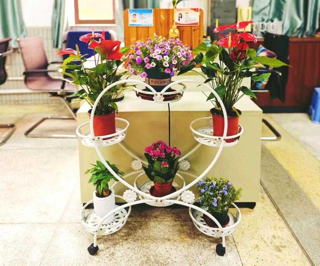 象贤教师们在美丽的环境中踏实工作,用心育人,静待桃李满天下!