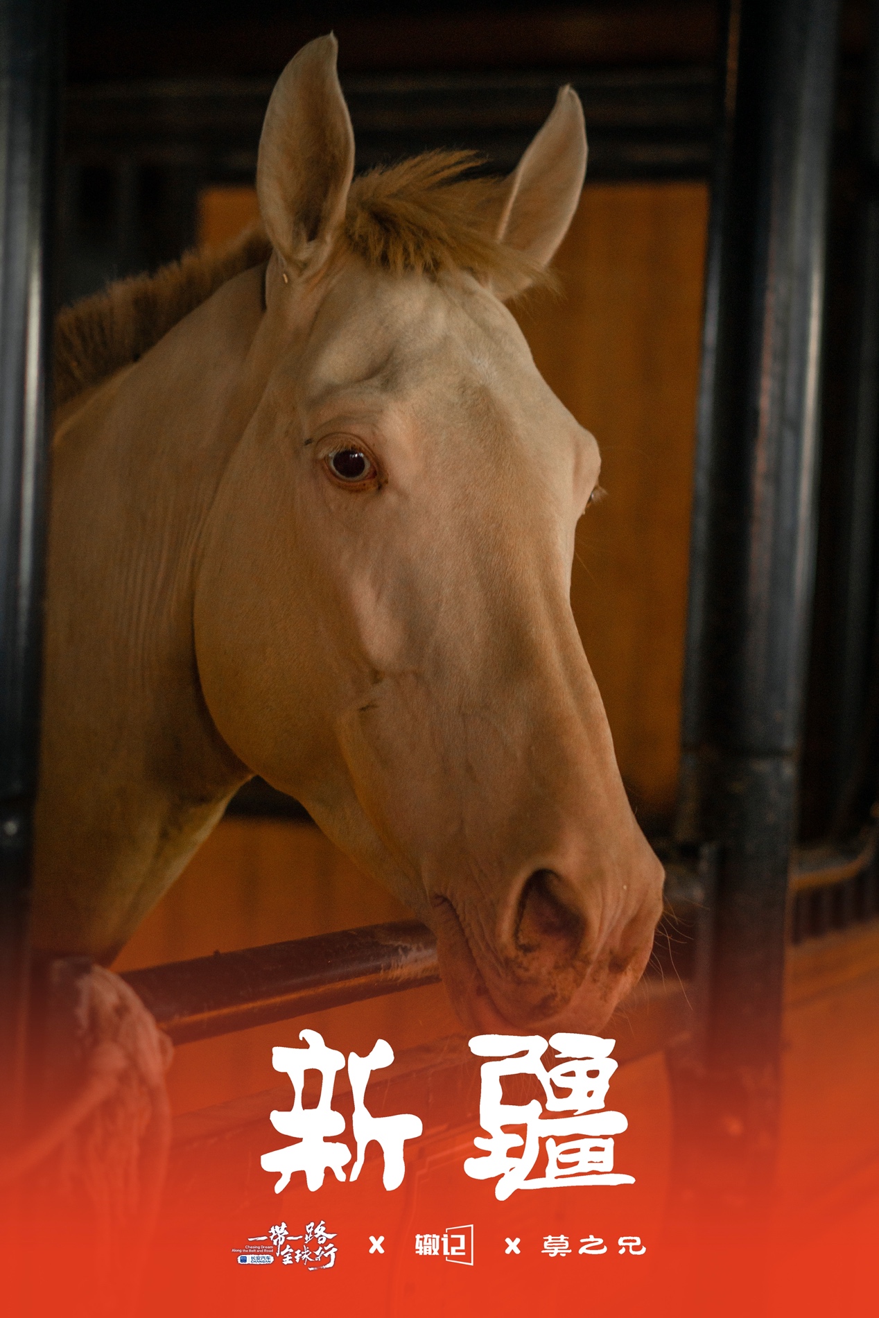 丝路辙记追寻历史印记探寻西域奇迹新疆篇