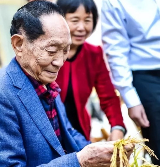 水稻之父袁隆平被丑化秃头加小辫子画家本人辩称这是艺术