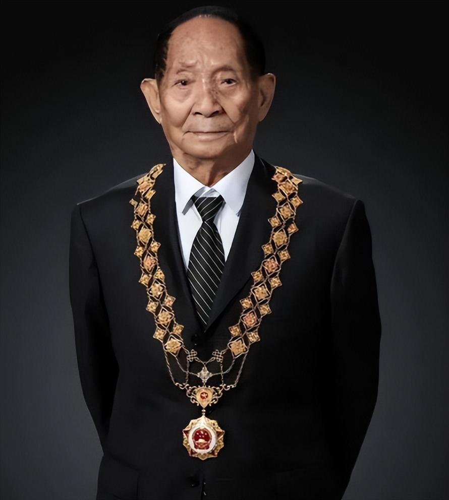 水稻之父袁隆平被丑化秃头加小辫子画家本人辩称这是艺术