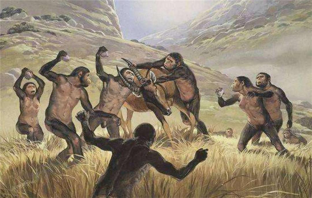 回顾为什么人类吃食草动物的肉几乎不吃食肉动物是因为不好吃吗