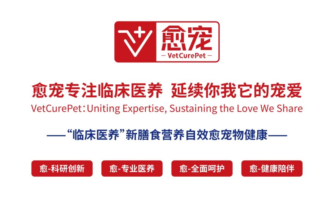 愈宠v兽医期刊氨基酸篇dl蛋氨酸