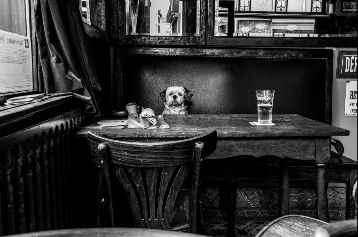 sonia de wit 比利时这种照片在没有提供背景信息的情况下很难判断