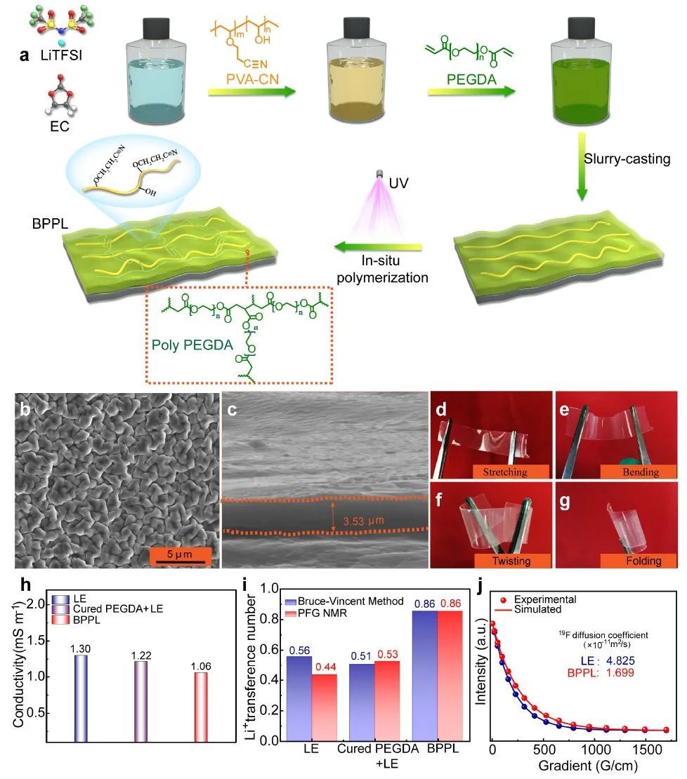 顶刊集锦张强吴凡范丽珍明军王华等成果