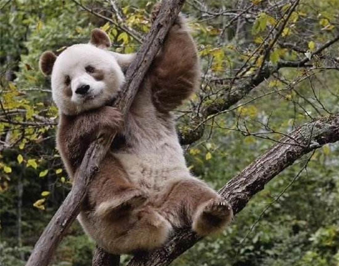 3个月大:取名"七仔",还给它找来一个"后妈"