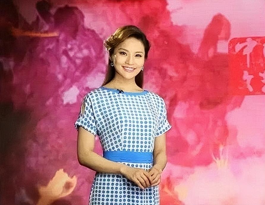 回顾央视孟盛楠一路奋斗到央视41岁仍未婚风光背后有眼泪