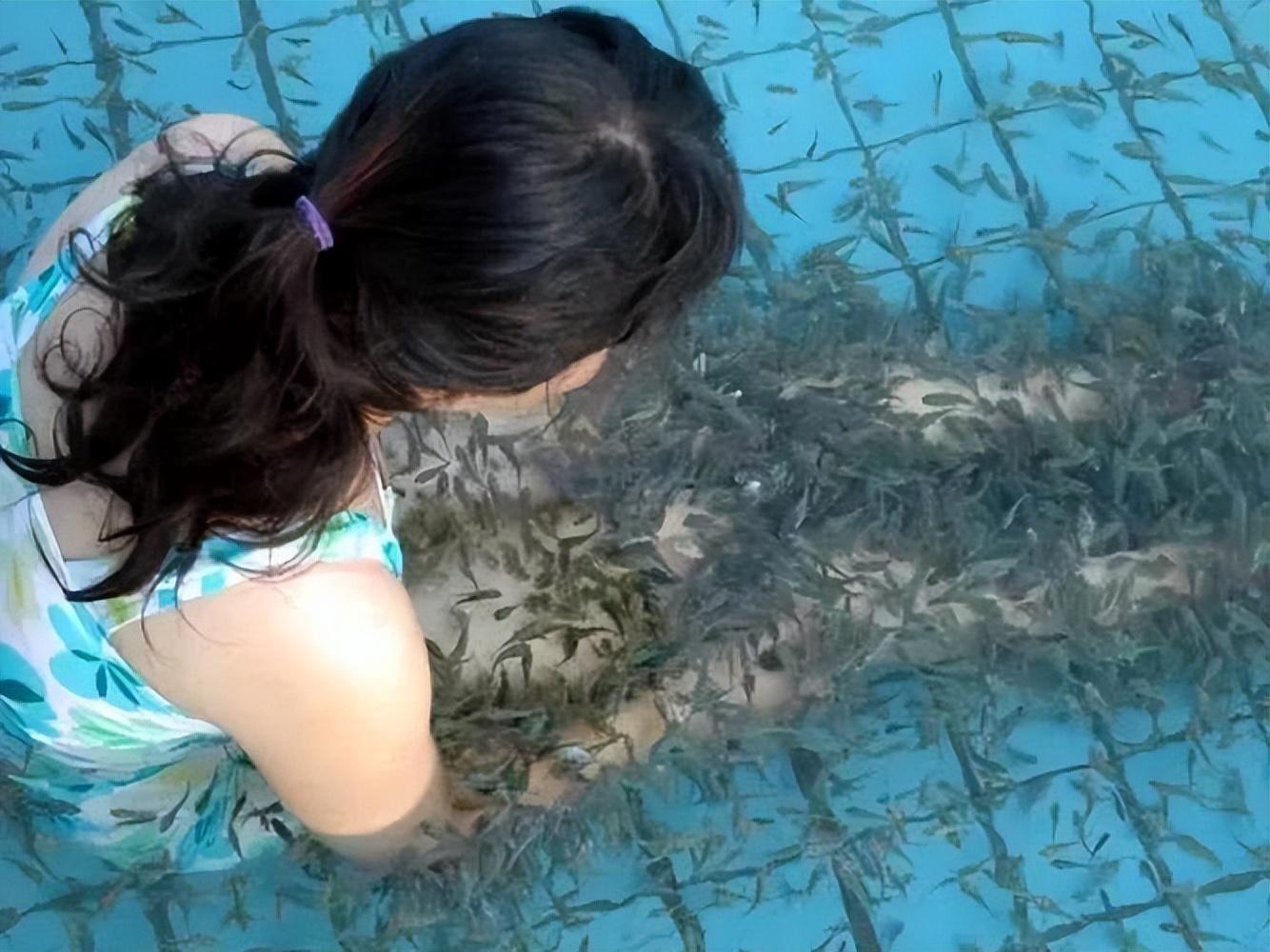 曾有人做实验,将一条小金鱼放入温泉鱼池,仅几十秒钟功夫,金鱼便被啃