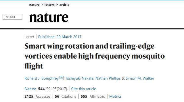 九成人都不知蚊子最大克星是啥简单1招开窗也能睡安稳觉了