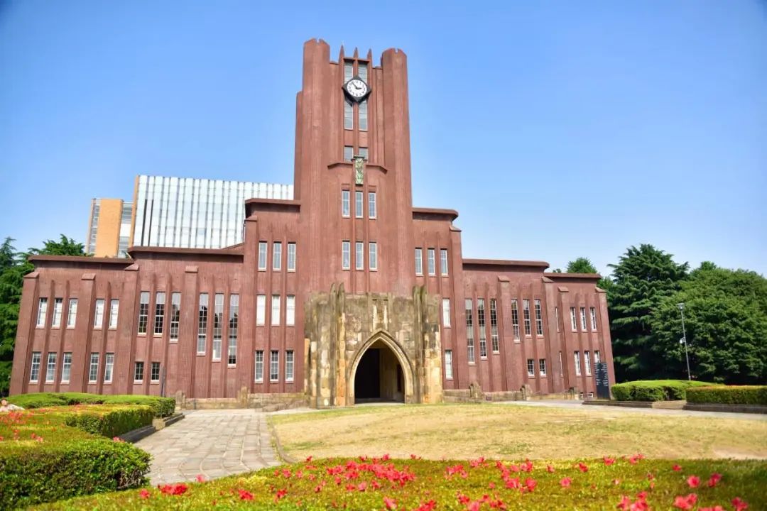 日本对大学群的划分