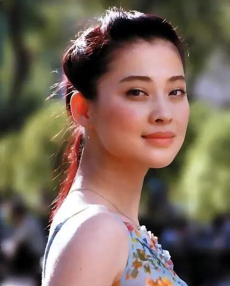 回顾为丈夫花400万却惨遭离婚37岁再嫁摄影师的梅婷怎样了