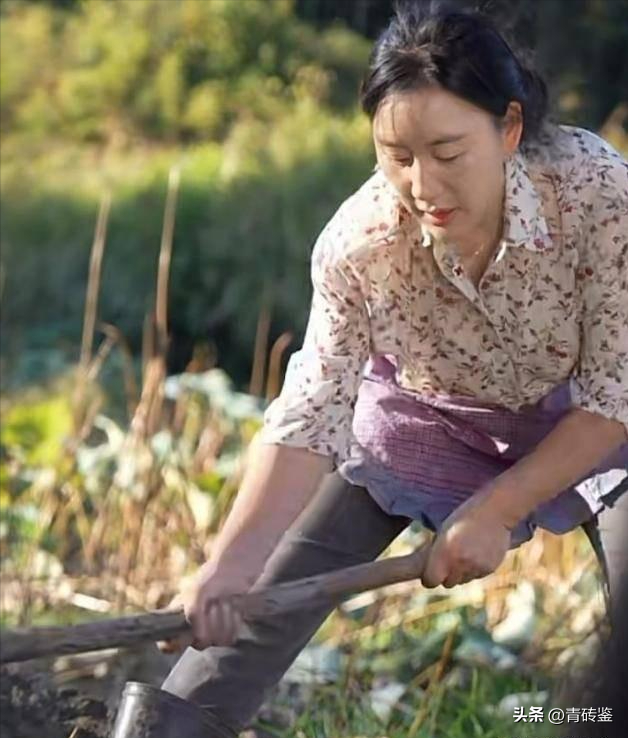 而她在社交平台上的账号也是以"乡愁"为名的.