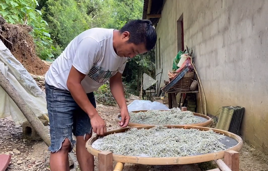 不准农户私自炒茶回应看小农晾茶和养鸡放一起30年茶农发声