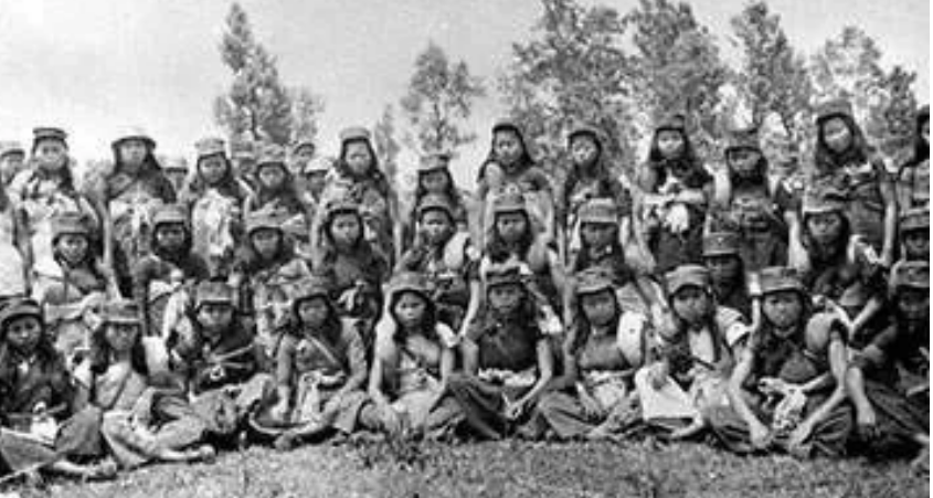 1955年授衔,闻名全国的琼崖纵队3名总队长,分别获得什么军衔?