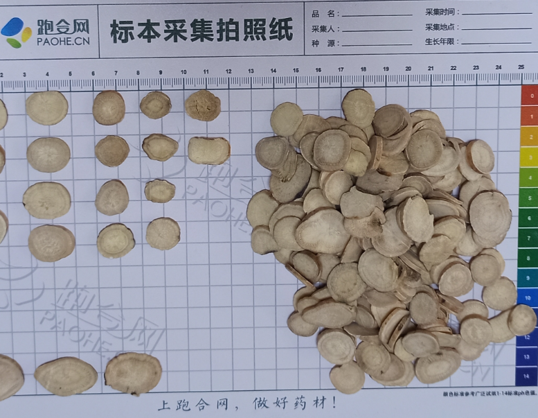 周报部分产新品种行情触底中药材市场进入采购小旺季