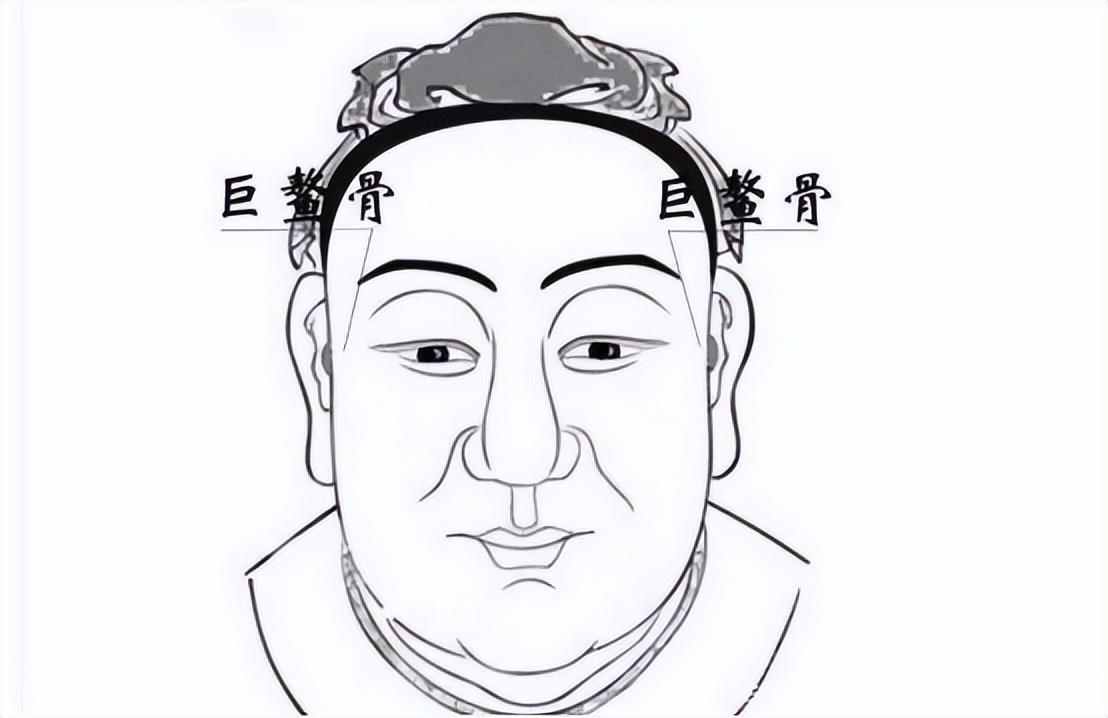 回顾俗话说头生九龙骨早晚必显贵其中九龙骨是指什么