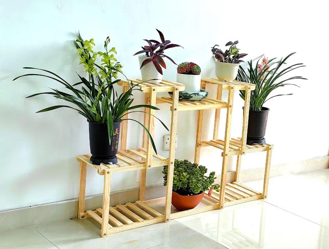 象贤教师们在美丽的环境中踏实工作,用心育人,静待桃李满天下!