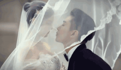 演活凤凰男的陈晓堪称内娱清流唯一bug是恋爱脑