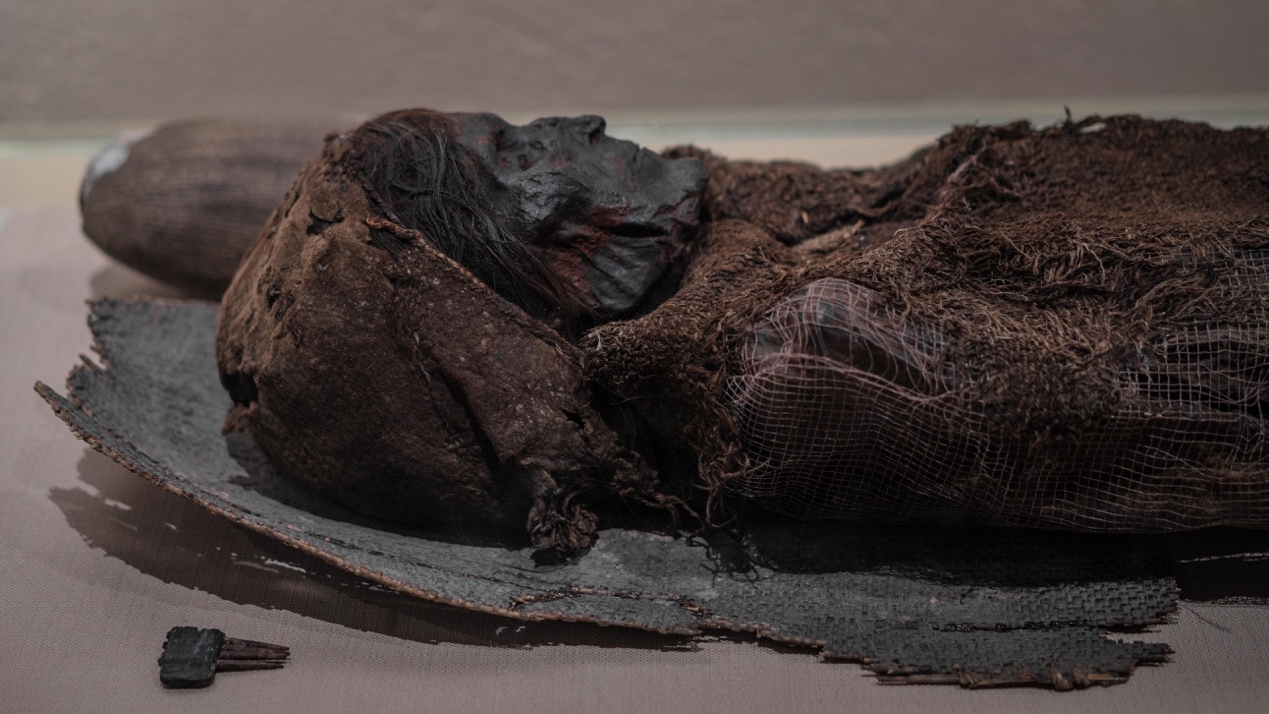 除了头颅被砍断,肌肉非常的发达,体型魁梧,干尸身长约169厘米,祖籍