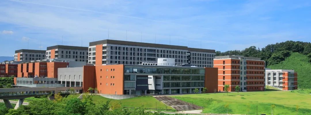 全37个日本大学群最全整理看这一篇就够了