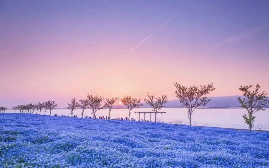 不负春日好时光日本浪漫的不只有樱花